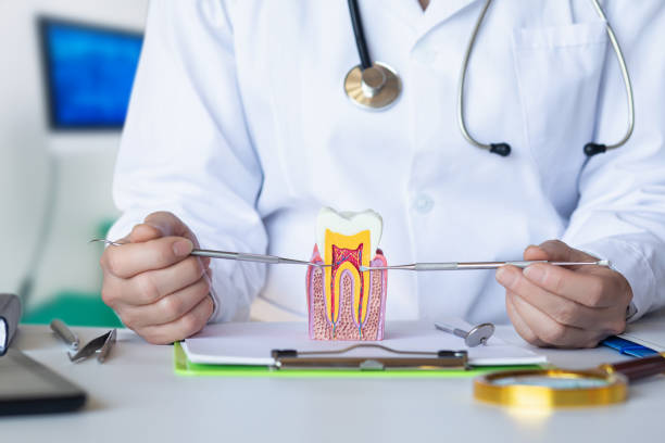 Best Weekend Emergency Dental Services in Carterville, MO
